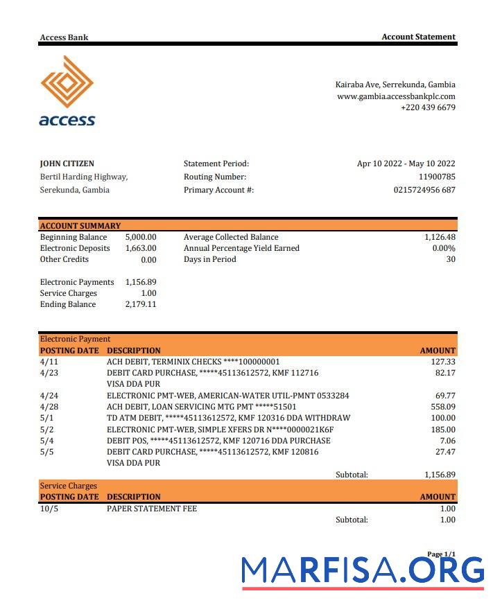 Blank Gambia Access Bank statement excel real example